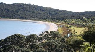 Poukaraka Flats campground - View of the campground and beach.