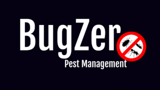 pest control bedbugs auckland BugZero Pest Control