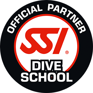 diving sites in auckland NZ Dive School Dive Training center