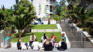 medical universities in auckland Faculty of Medical and Health Sciences, University of Auckland