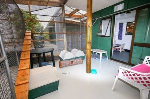 cat accommodation auckland Finisterre Cattery