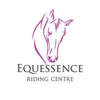 horse riding schools auckland Equessence Riding Centre
