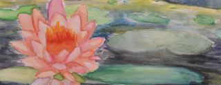 drawing lessons for children auckland Aquarelle Art Classes | Children's After-School and Holiday Classes