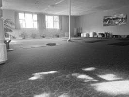 yoga centres auckland Yoga in Daily Life Auckland Ashram