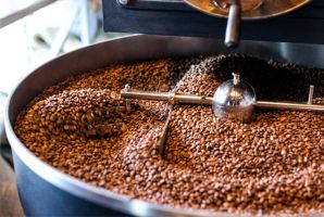 Coffee beans during a coffee roasting course