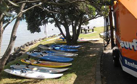 paddle surf lessons auckland Auckland Windsurfing ltd